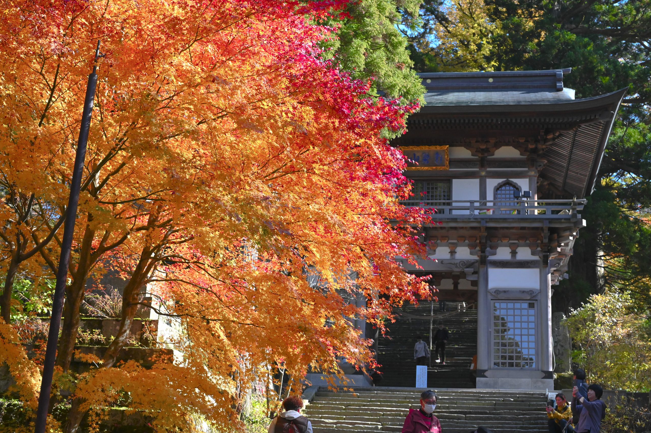 紅葉狩り?