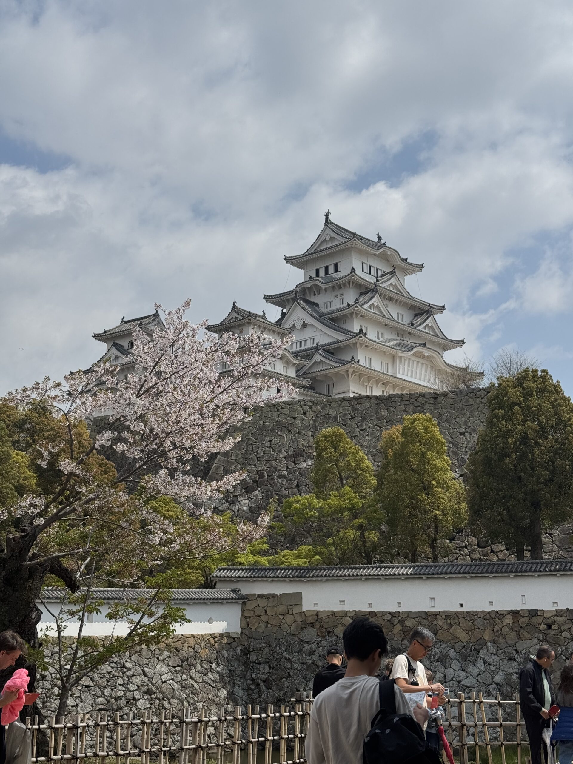 神戸旅行🫡